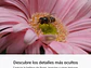 RX10 V: zoom de 24-600 mm (PREVENTA) - Miniatura 7