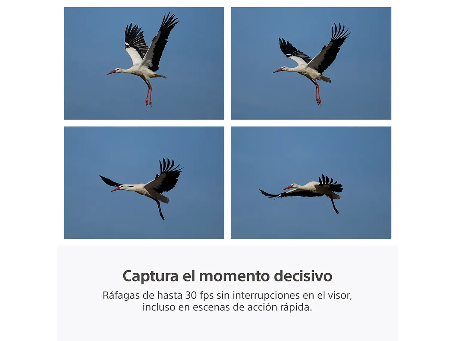RX10 V: zoom de 24-600 mm (PREVENTA) 8
