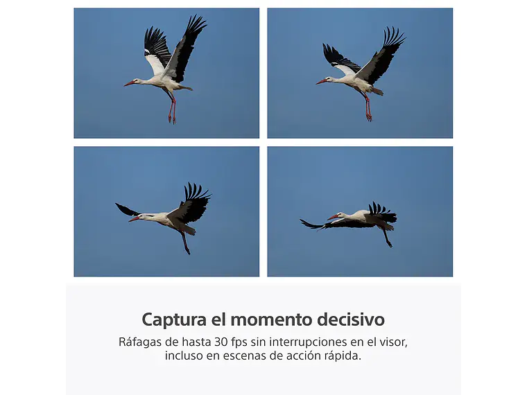 RX10 V: zoom de 24-600 mm (PREVENTA) 8
