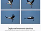 RX10 V: zoom de 24-600 mm (PREVENTA) - Miniatura 8