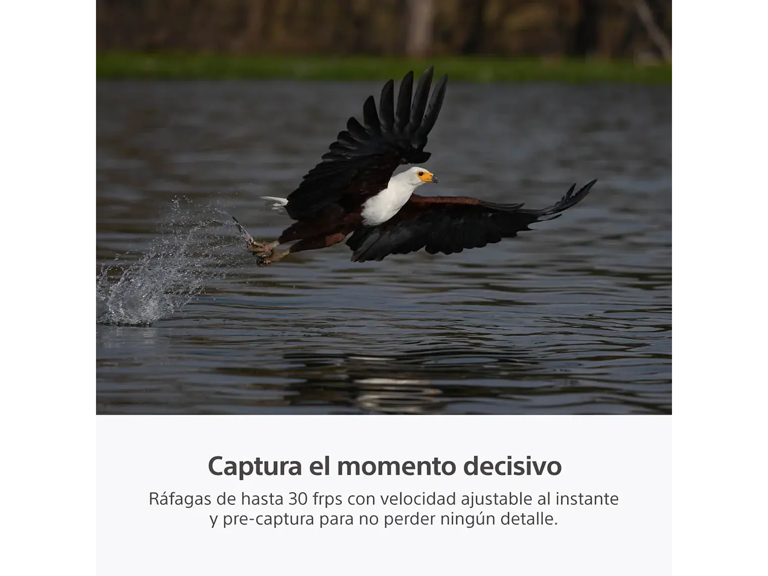 Sony a7R VI 11