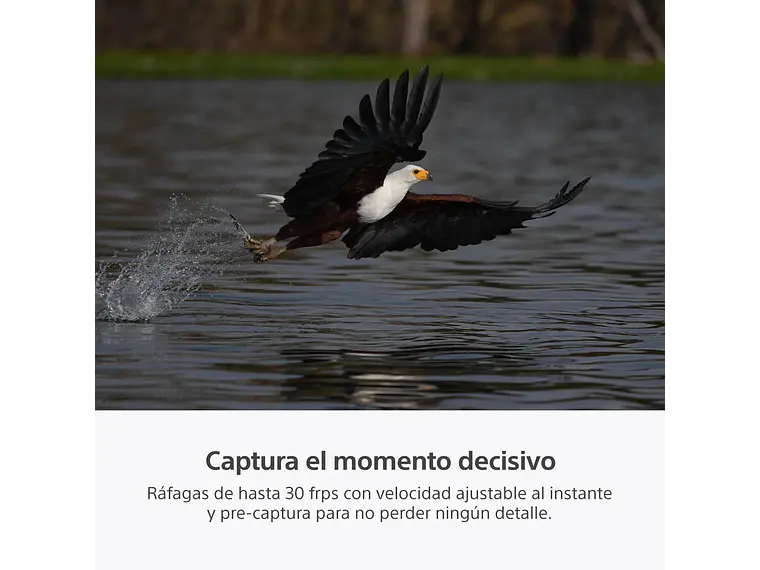Sony a7R VI 11