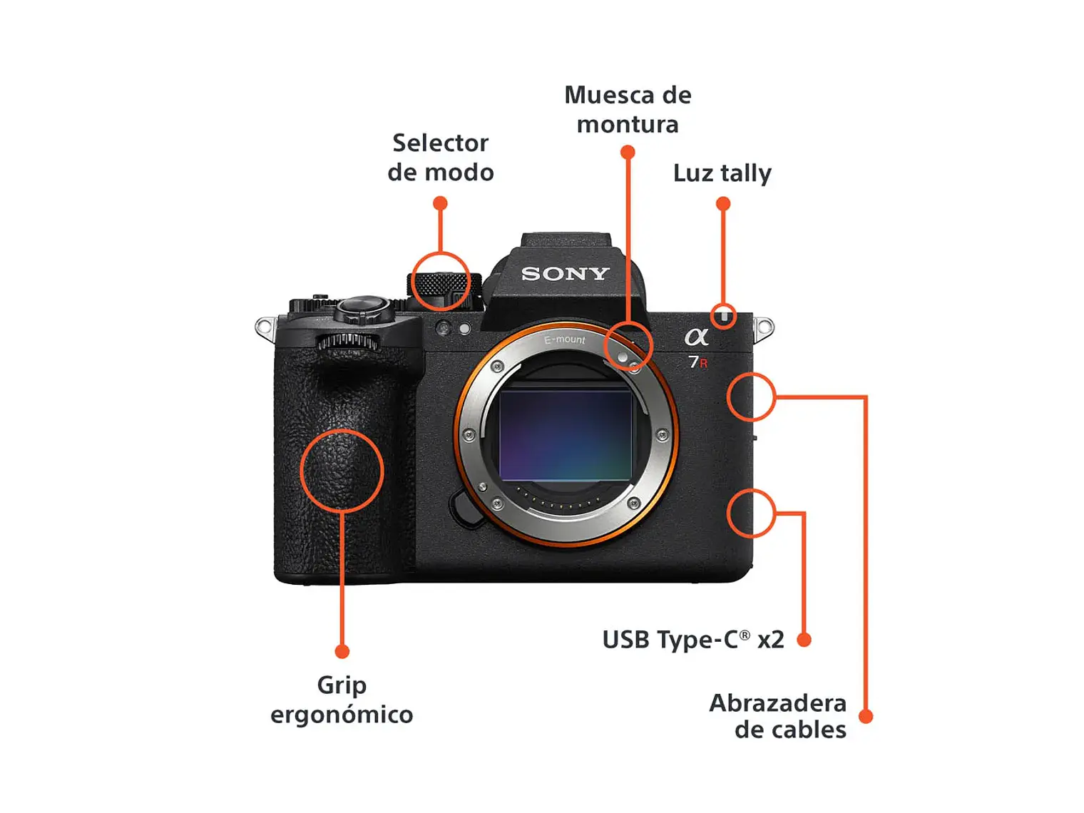 Sony a7R VI 2