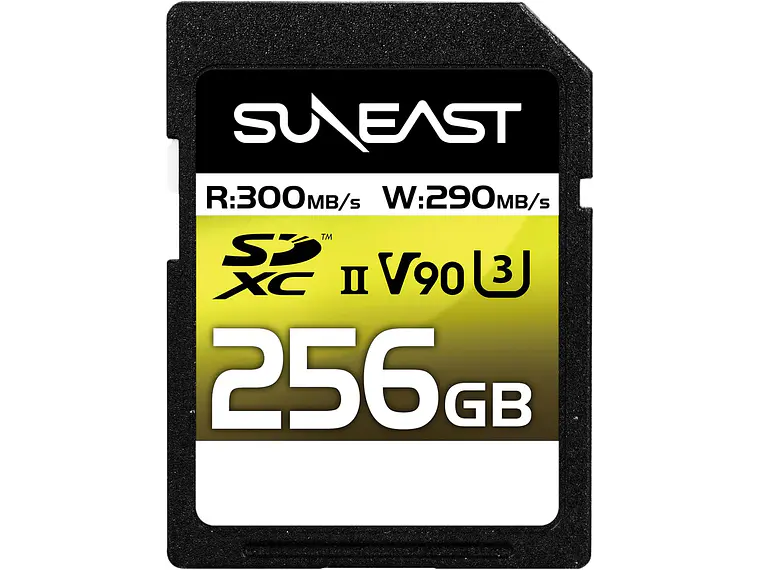 Suneast Tarjeta SDXC 256GB V90 2