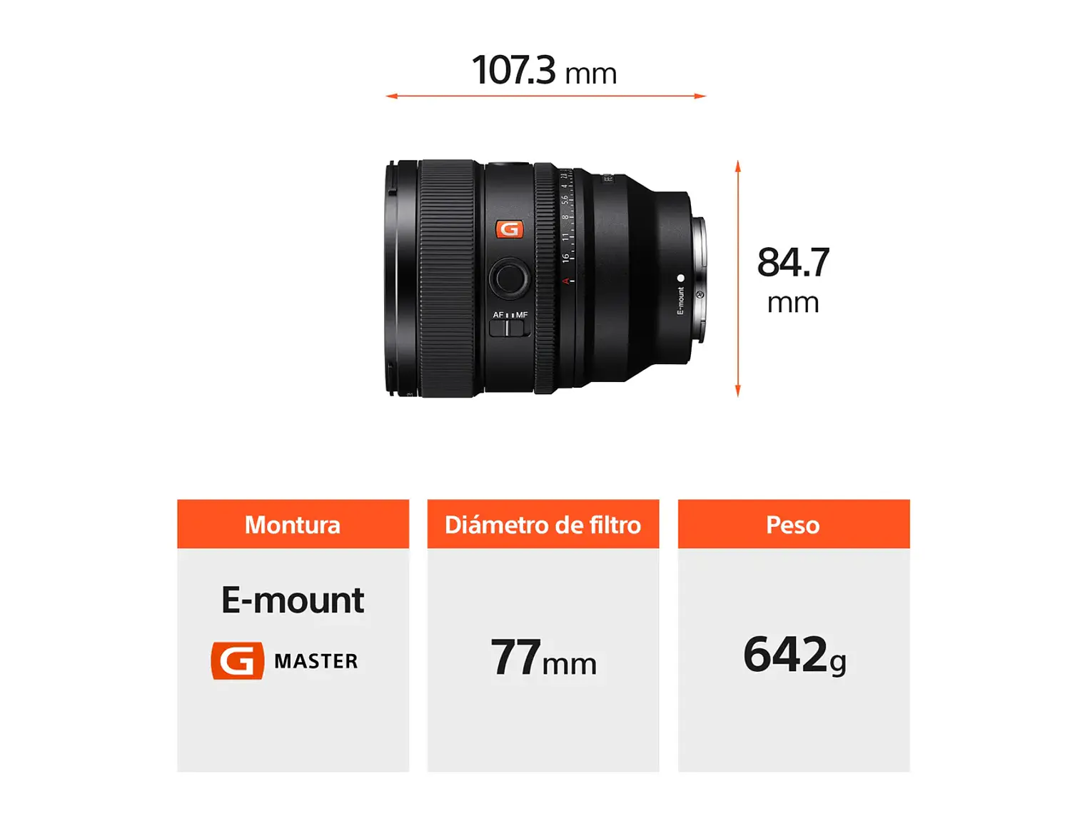 FE 85 mm F1.4 GM II 4