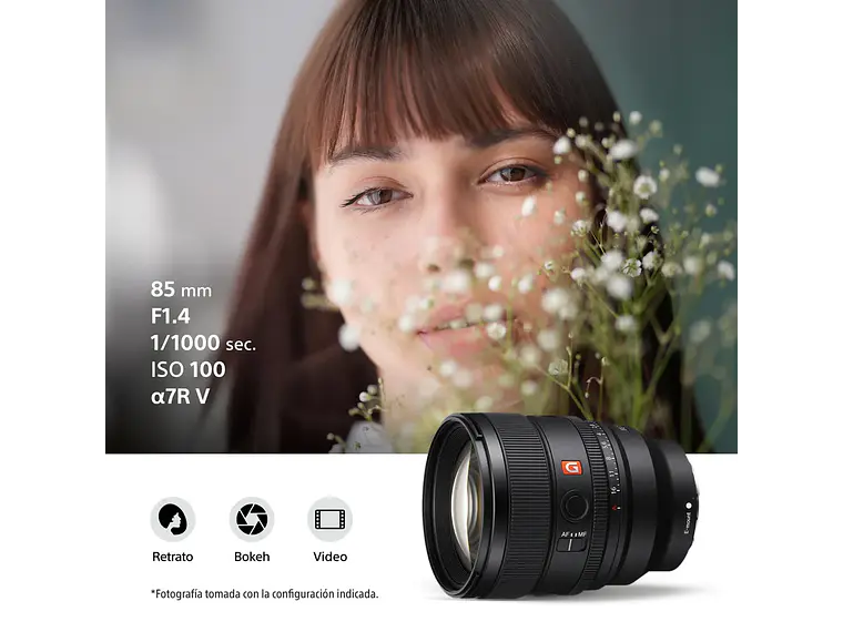 FE 85 mm F1.4 GM II 5