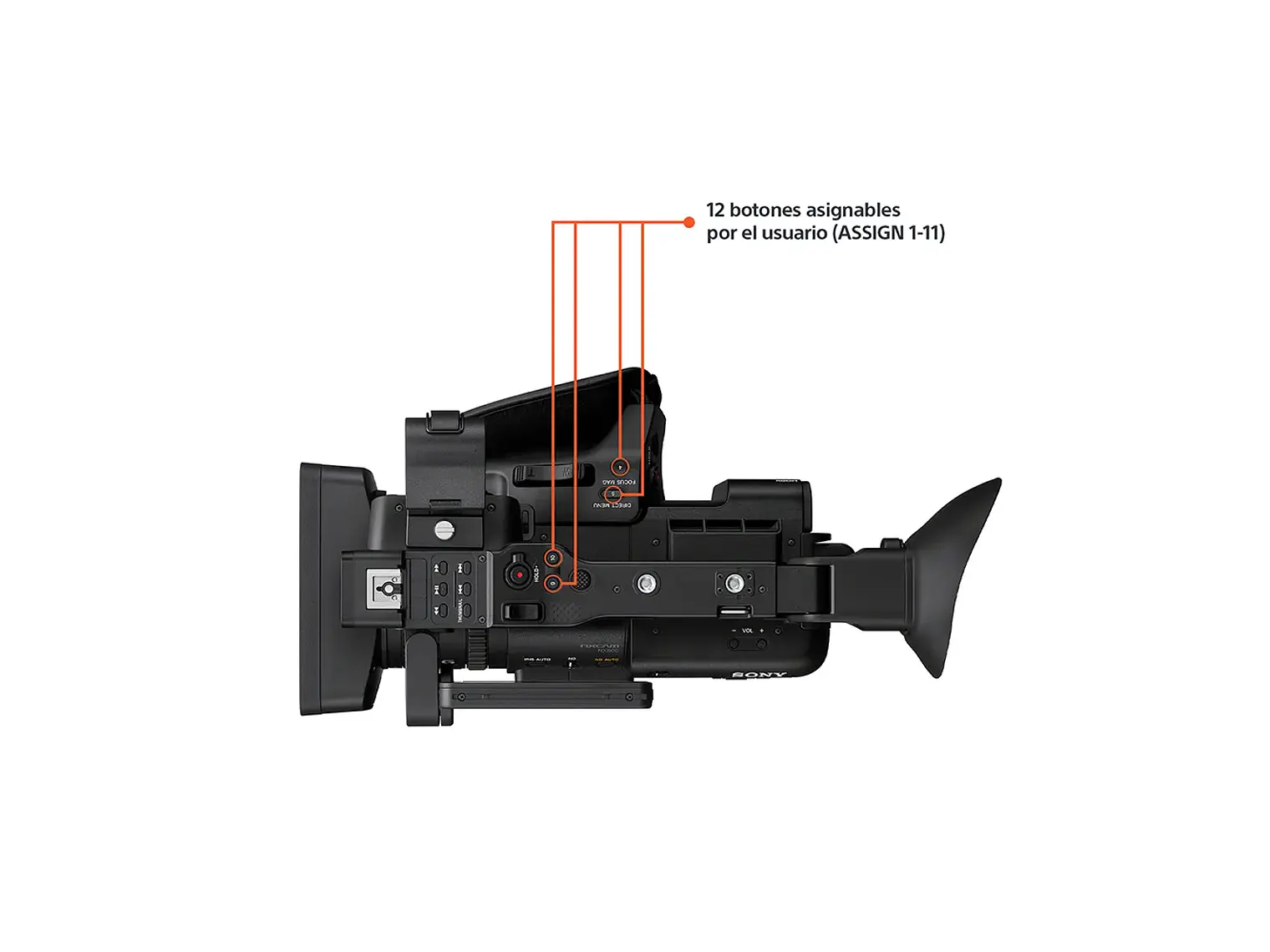 Cámara Profesional HXR-NX800 3