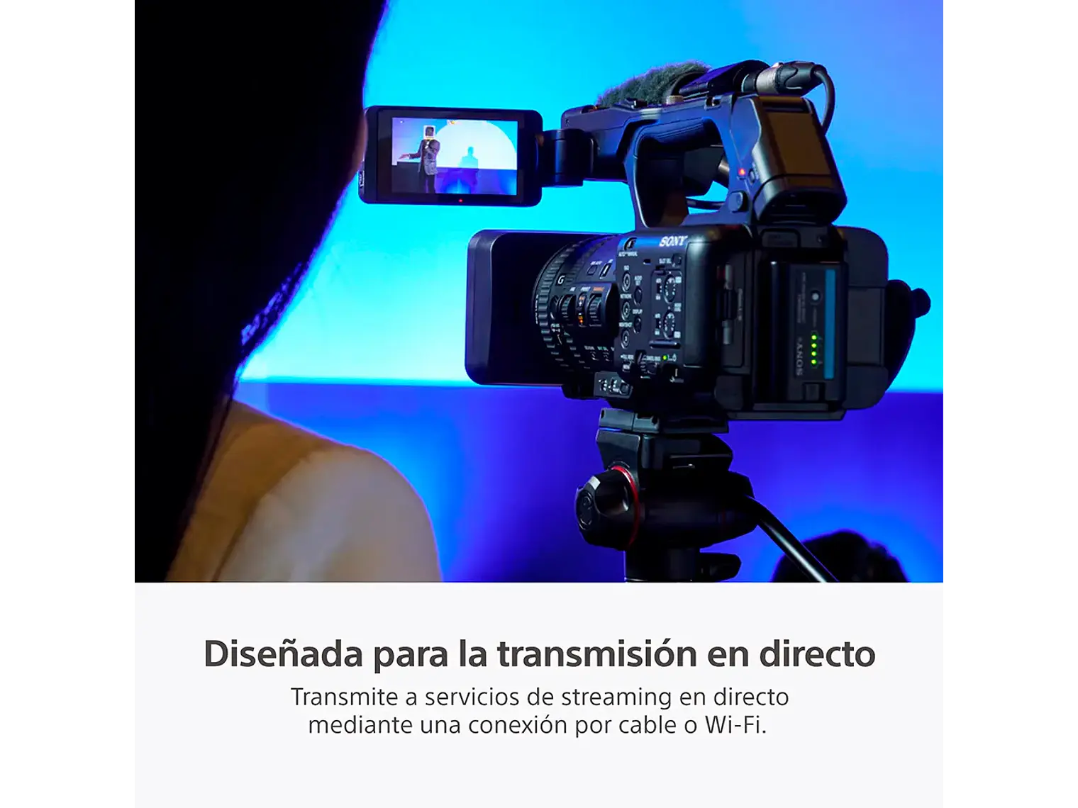 Cámara Profesional HXR-NX800 8