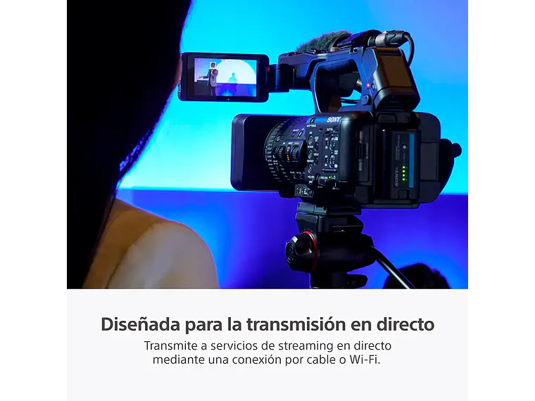 Cámara Profesional HXR-NX800 8