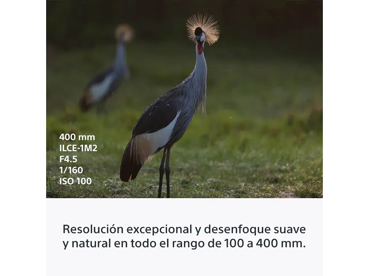 FE 100-400 mm F4.5 GM OSS 5