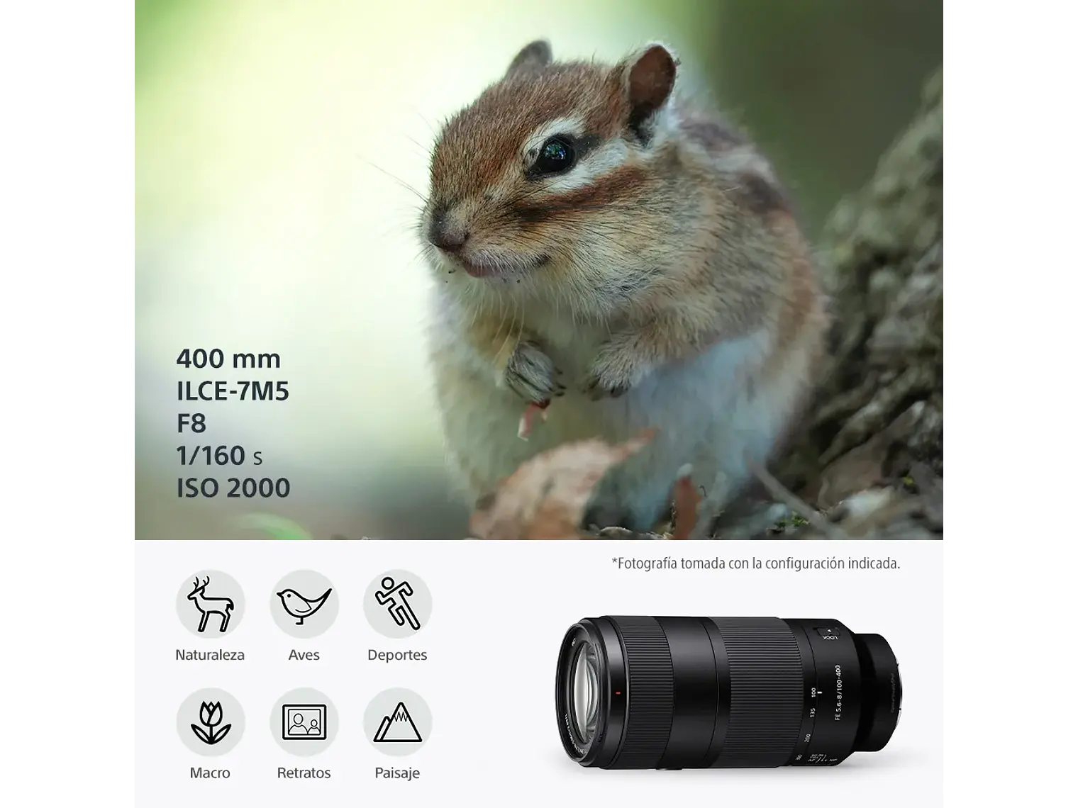 FE 100-400 mm F5,6-8 OSS 5