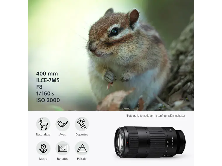 FE 100-400 mm F5,6-8 OSS 5