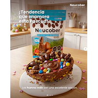 Neucober 420 Moldeo 1[Kg]