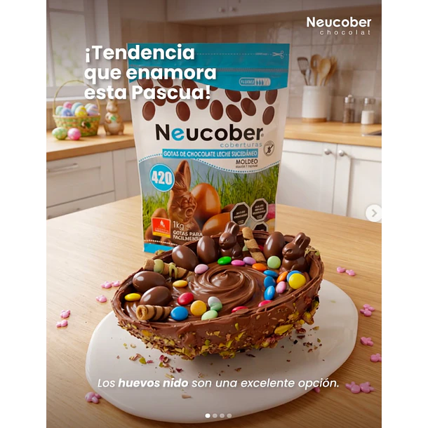 Neucober 420 Moldeo 1[Kg] 2