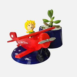 El principito en avioneta