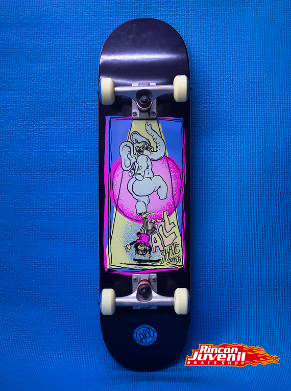 Tabla Skate Completa  All Serie Circus