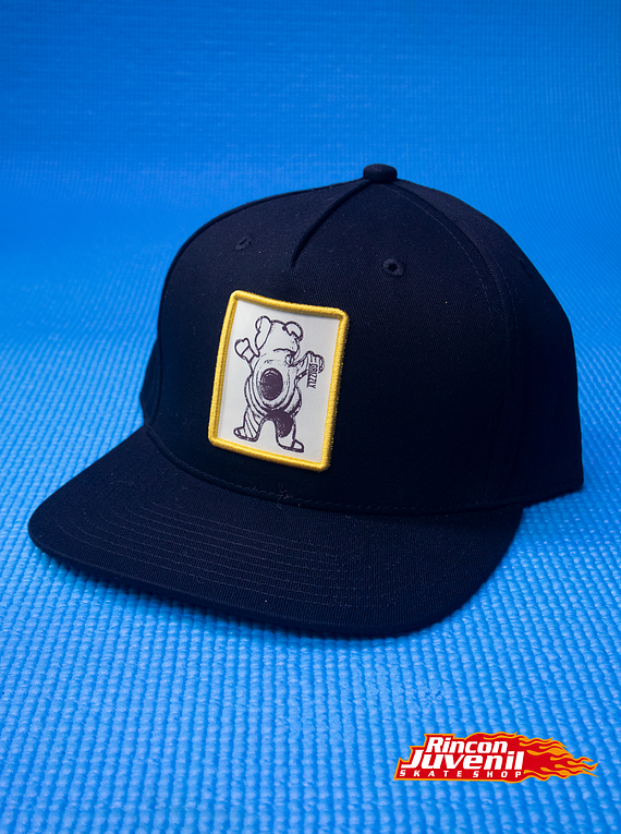 Gorro Grizzly REDWOOD BLACK SNAPBACK