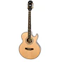 Epiphone PR-5E - Miniatura 1