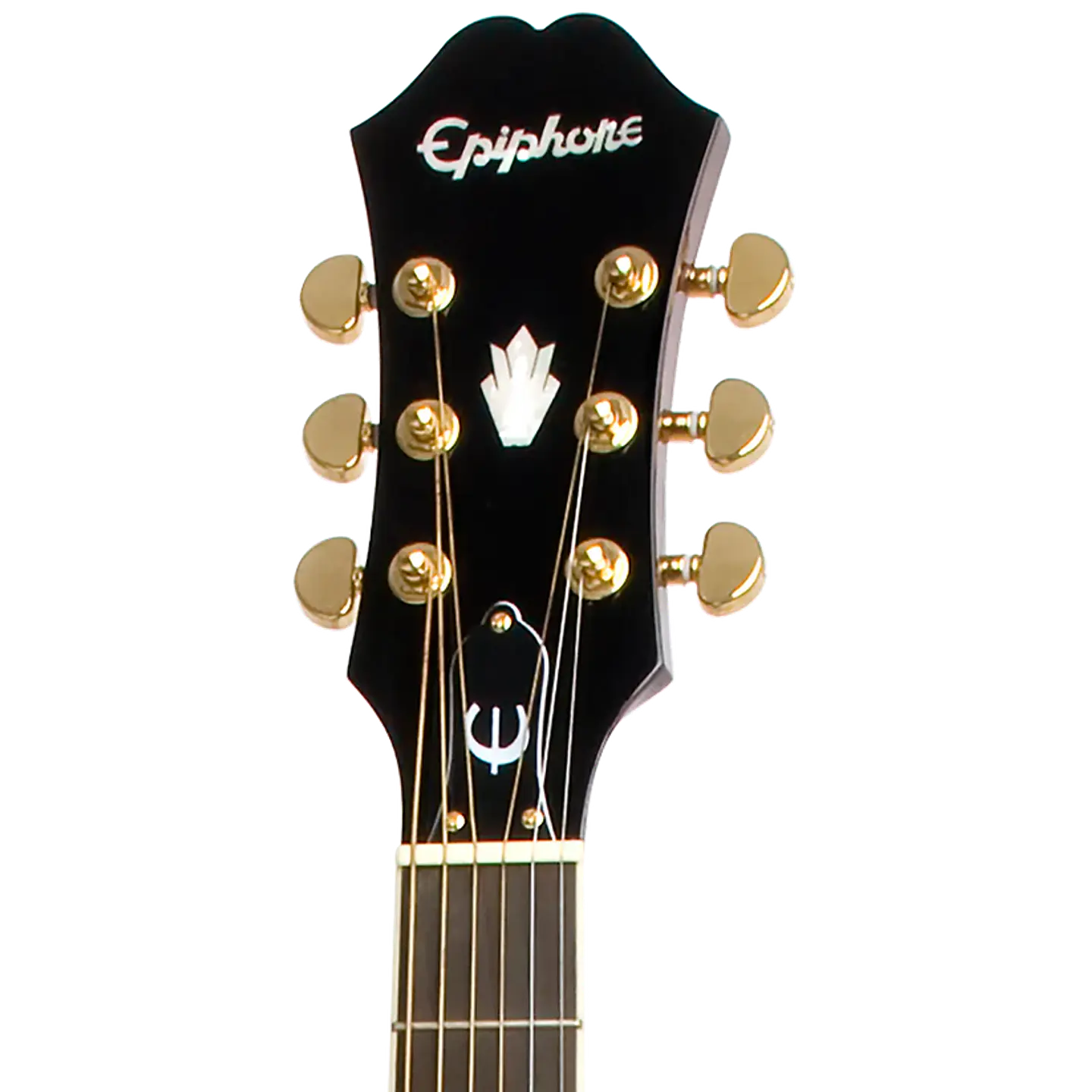 Epiphone PR-5E 3