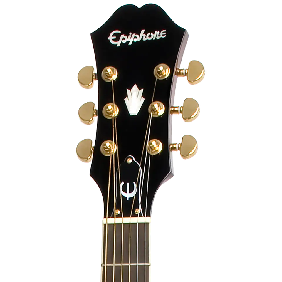 Epiphone PR-5E 3