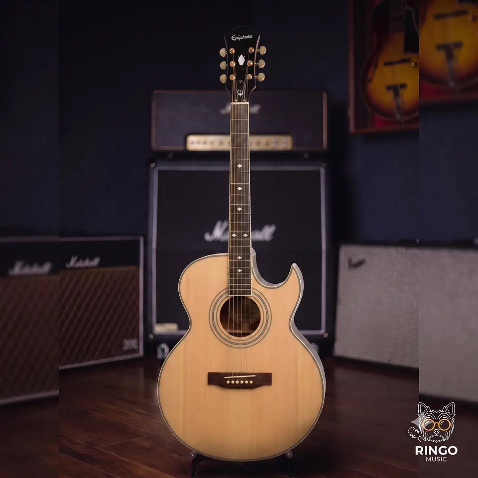 Epiphone PR-5E 1