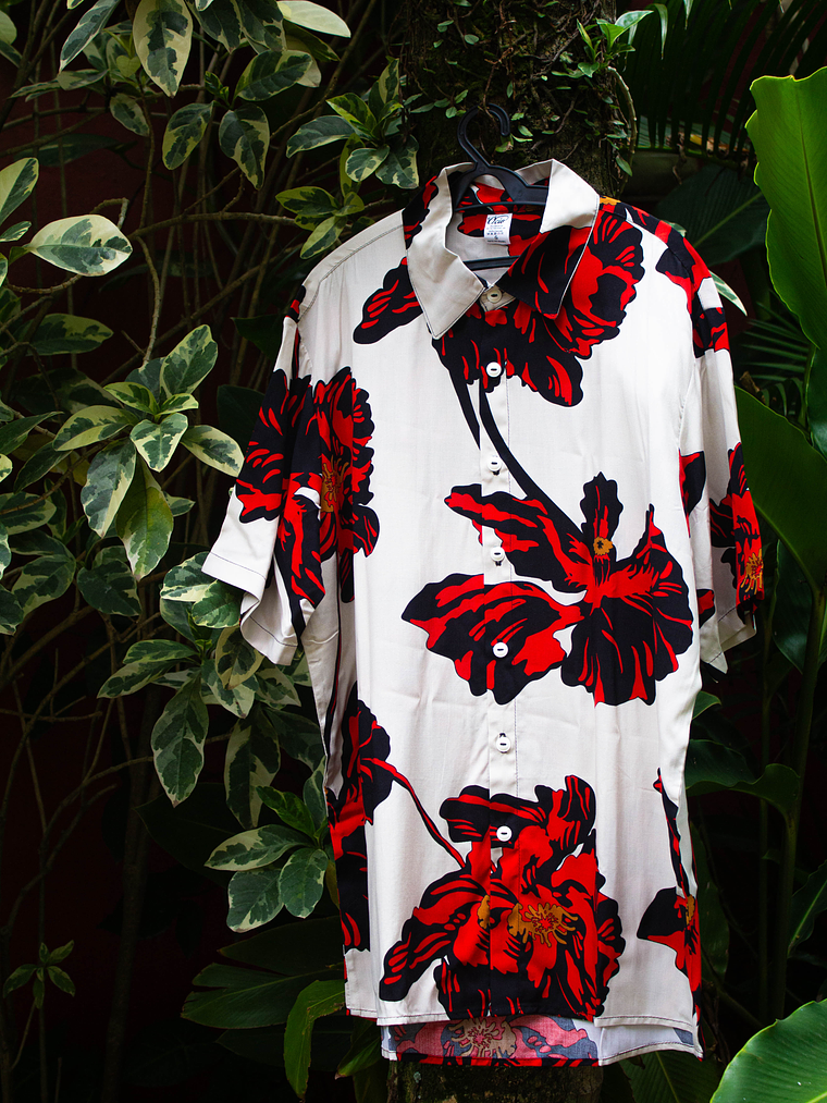 Papoulas vermelhas 2