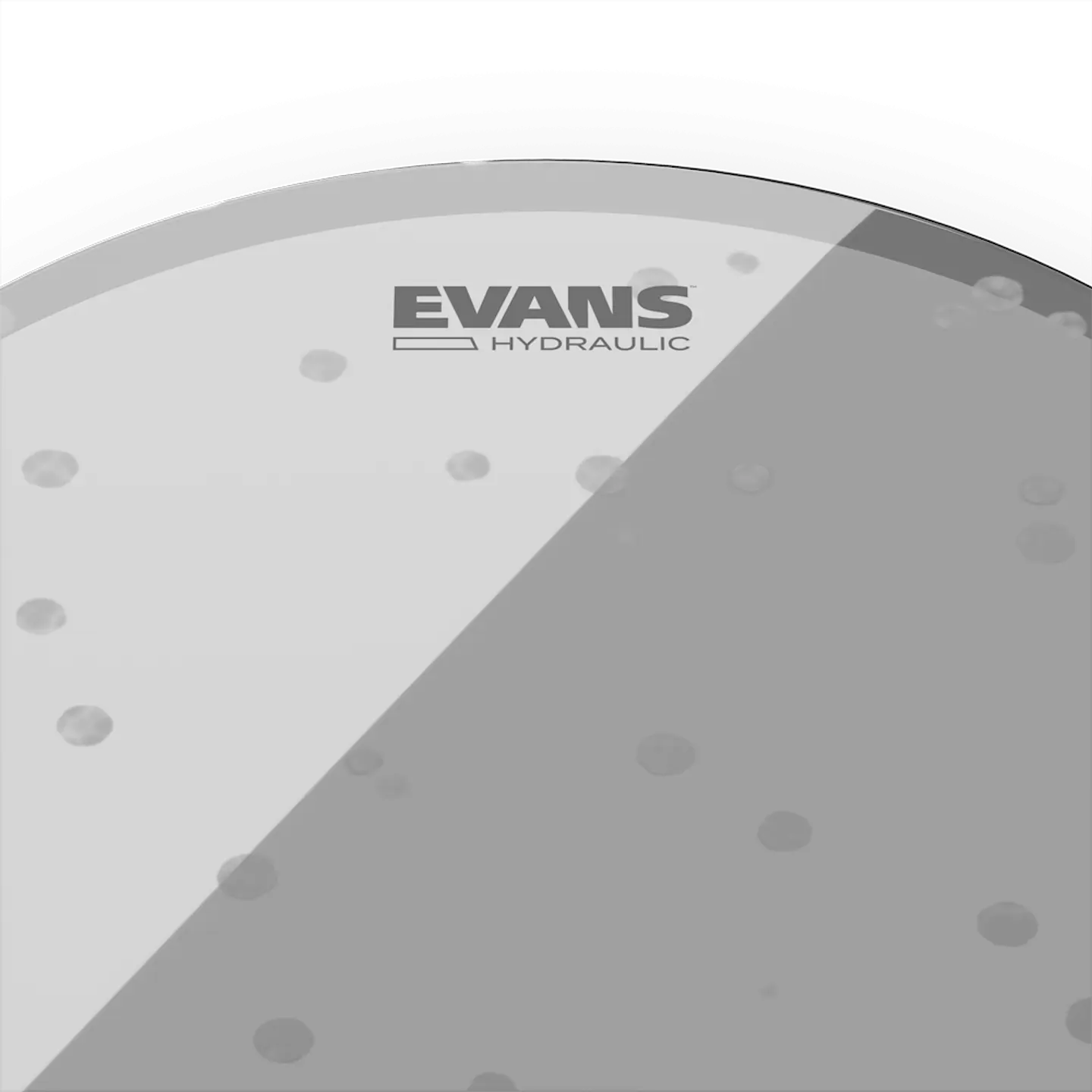 Evans Hydraulic Glass Tom Batter 16