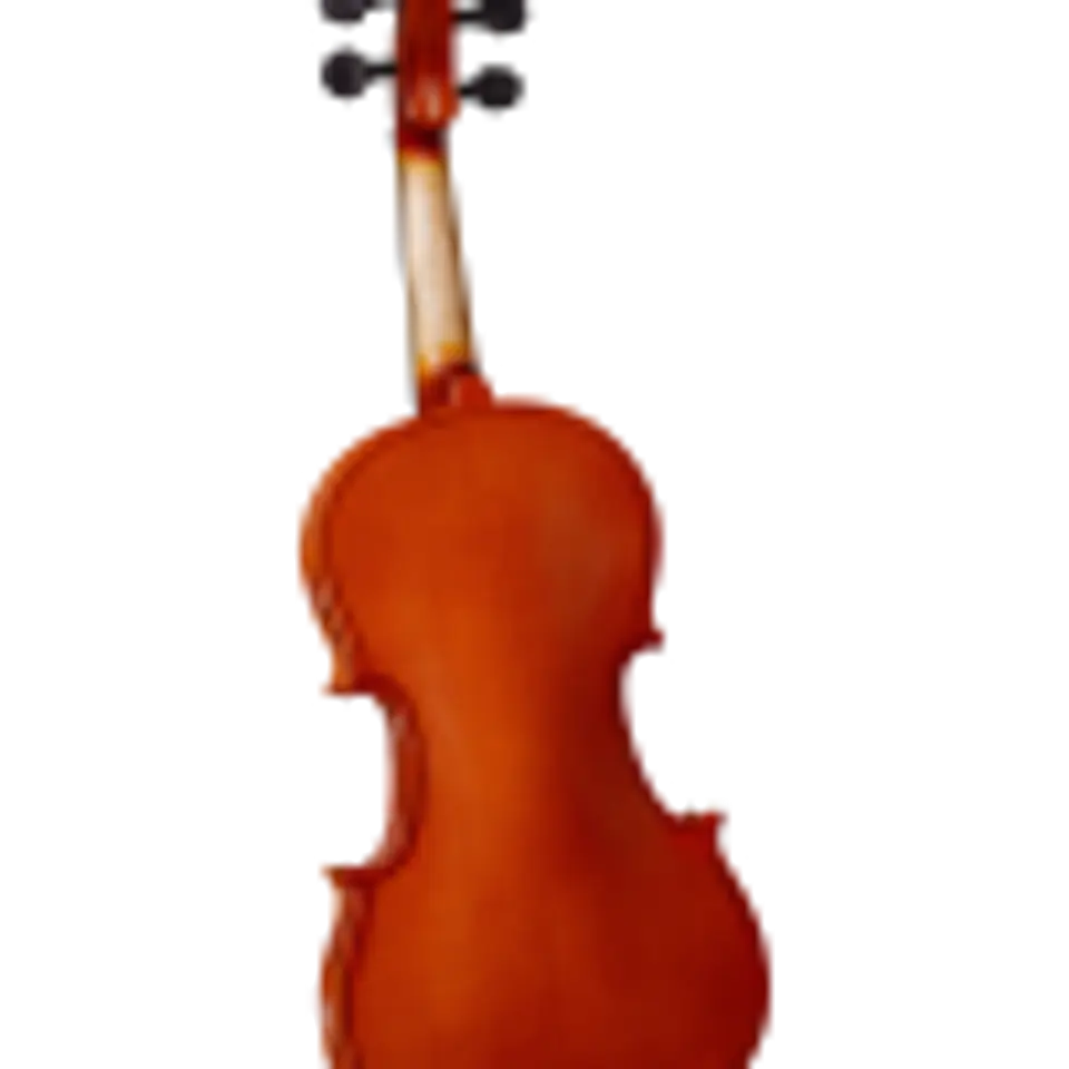 Cervini HVA-150 Viola 15