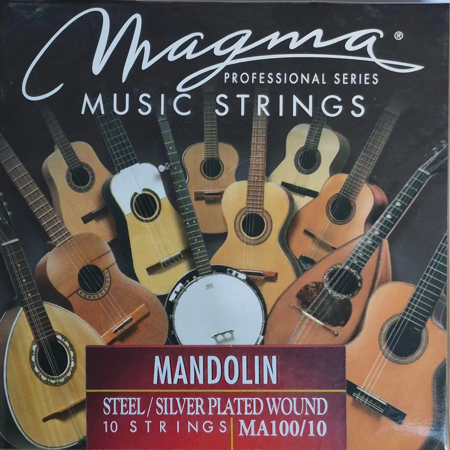 Cuerdas para Mandolina de 10 cuerdas Magma MA100-10 1