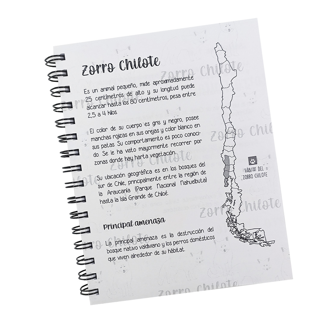 Cuaderno Sustentable Zorro Chilote 2