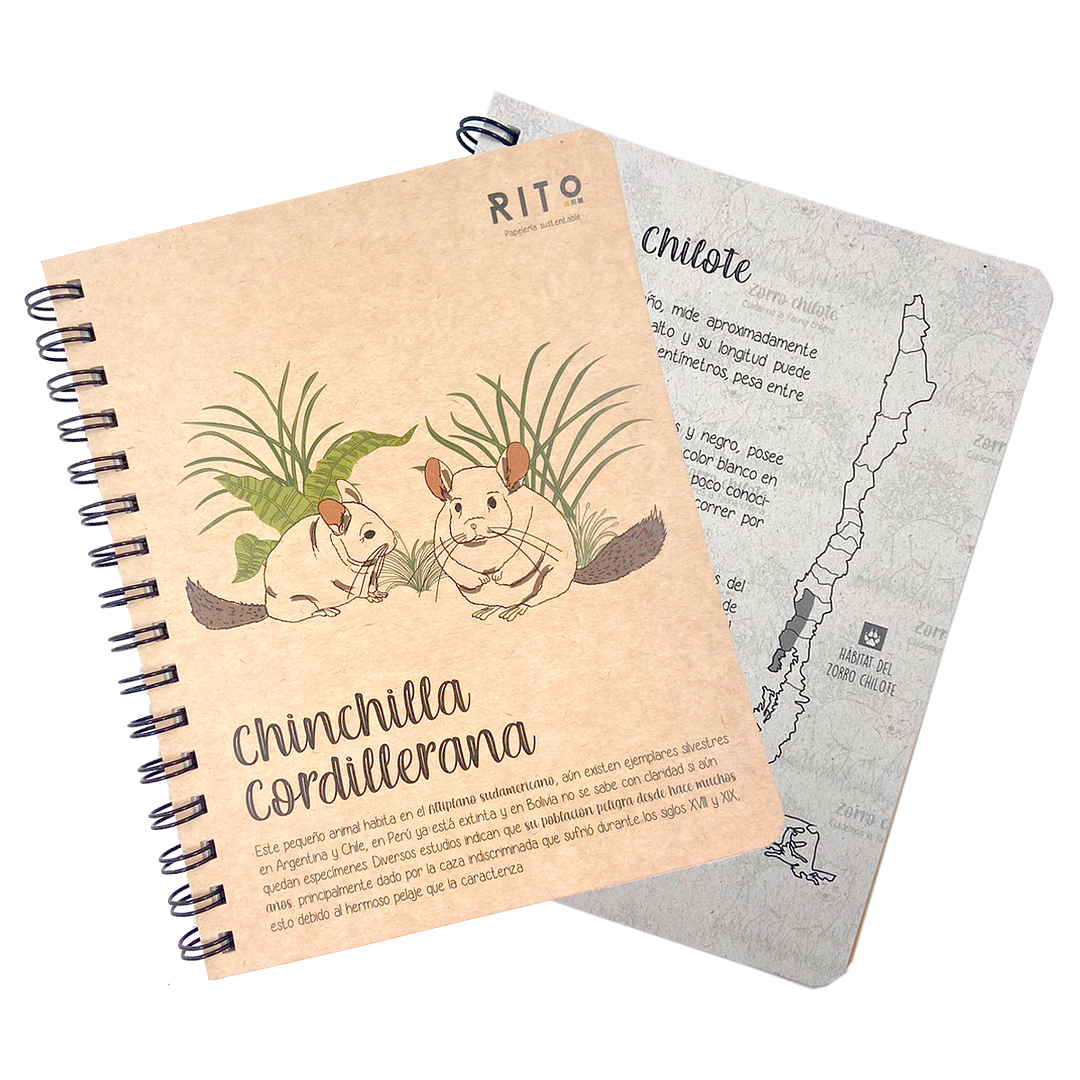 Cuaderno Sustentable Chinchilla Cordillerana