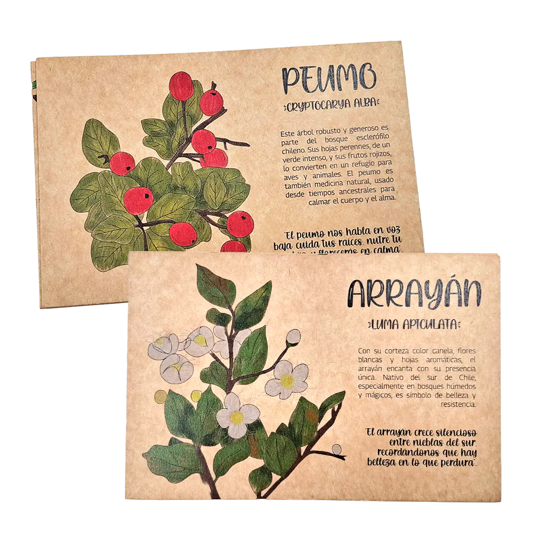 Postales Flora Chilena 2