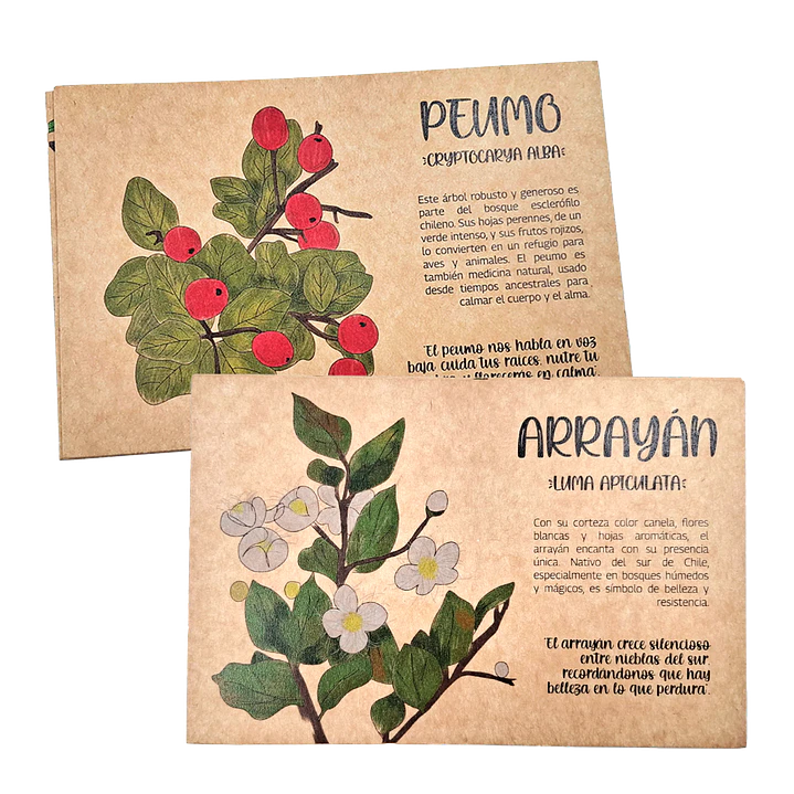 Postales Flora Chilena 2