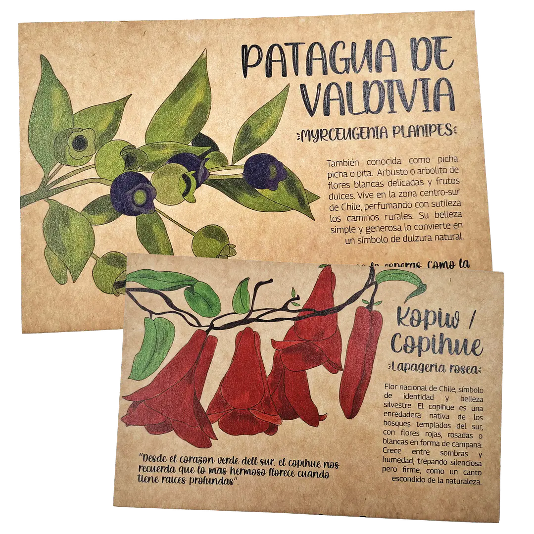 Postales Flora Chilena 3