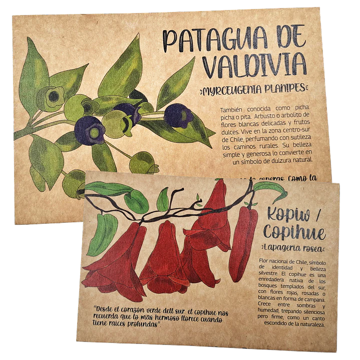 Postales Flora Chilena 3