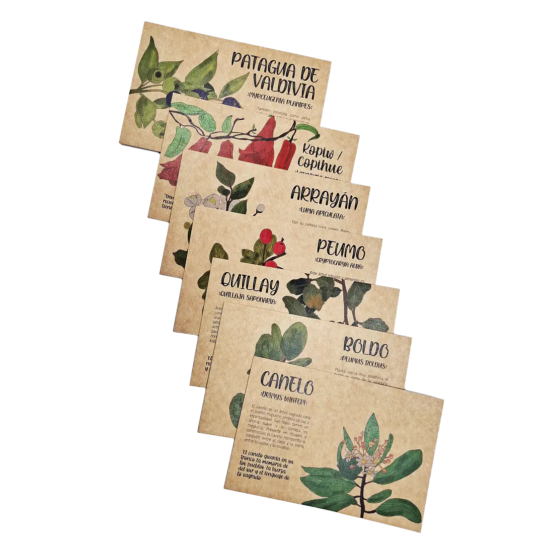 Postales Flora Chilena 1