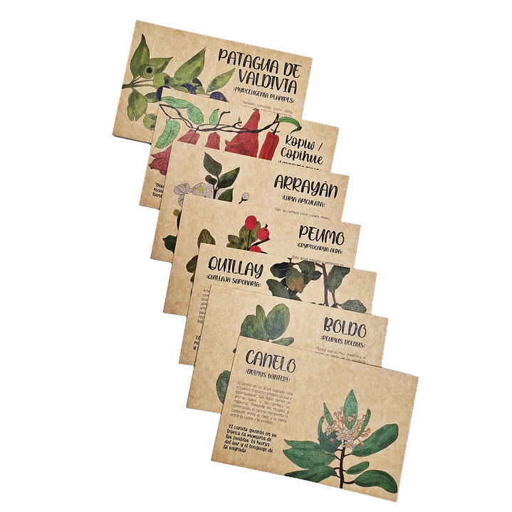 Postales Flora Chilena 1