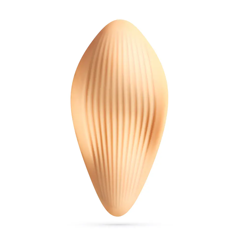 Atlantis Vibrador de Cueca com Comando à Distância Crushious 3