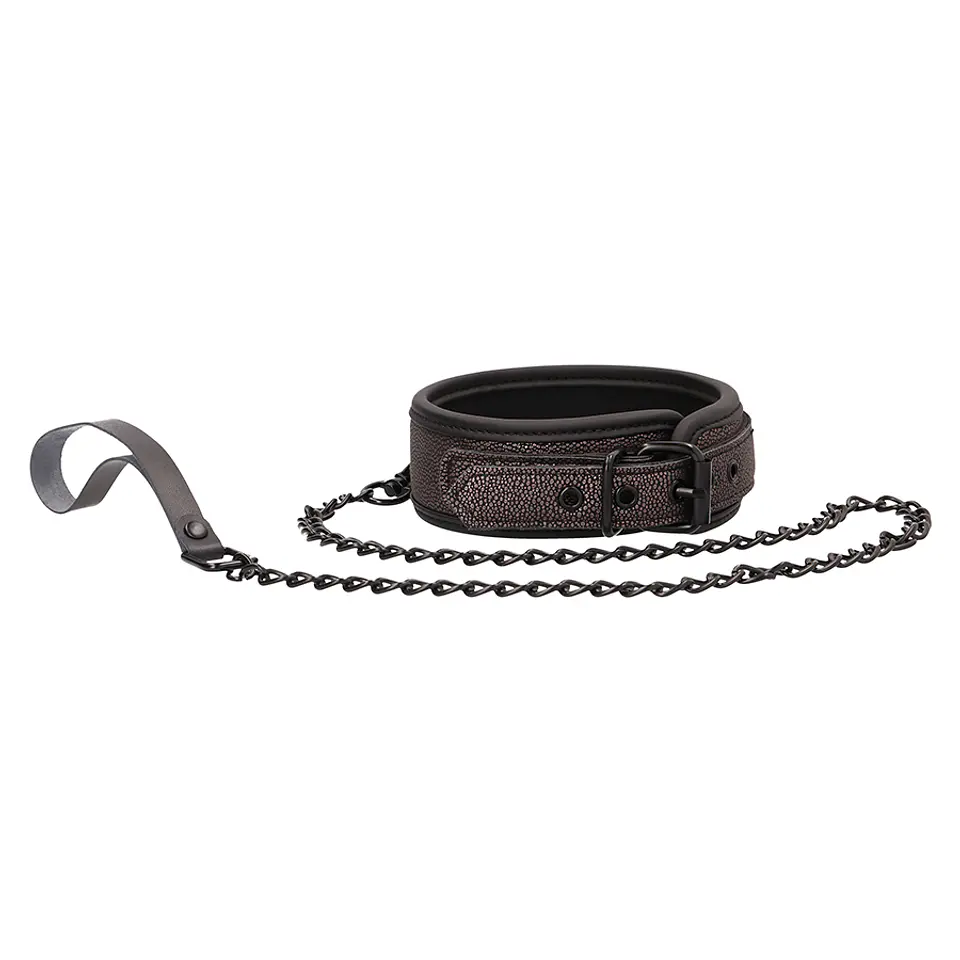 Coleira com Trela Ouch! Elegant Collar with Leash 1
