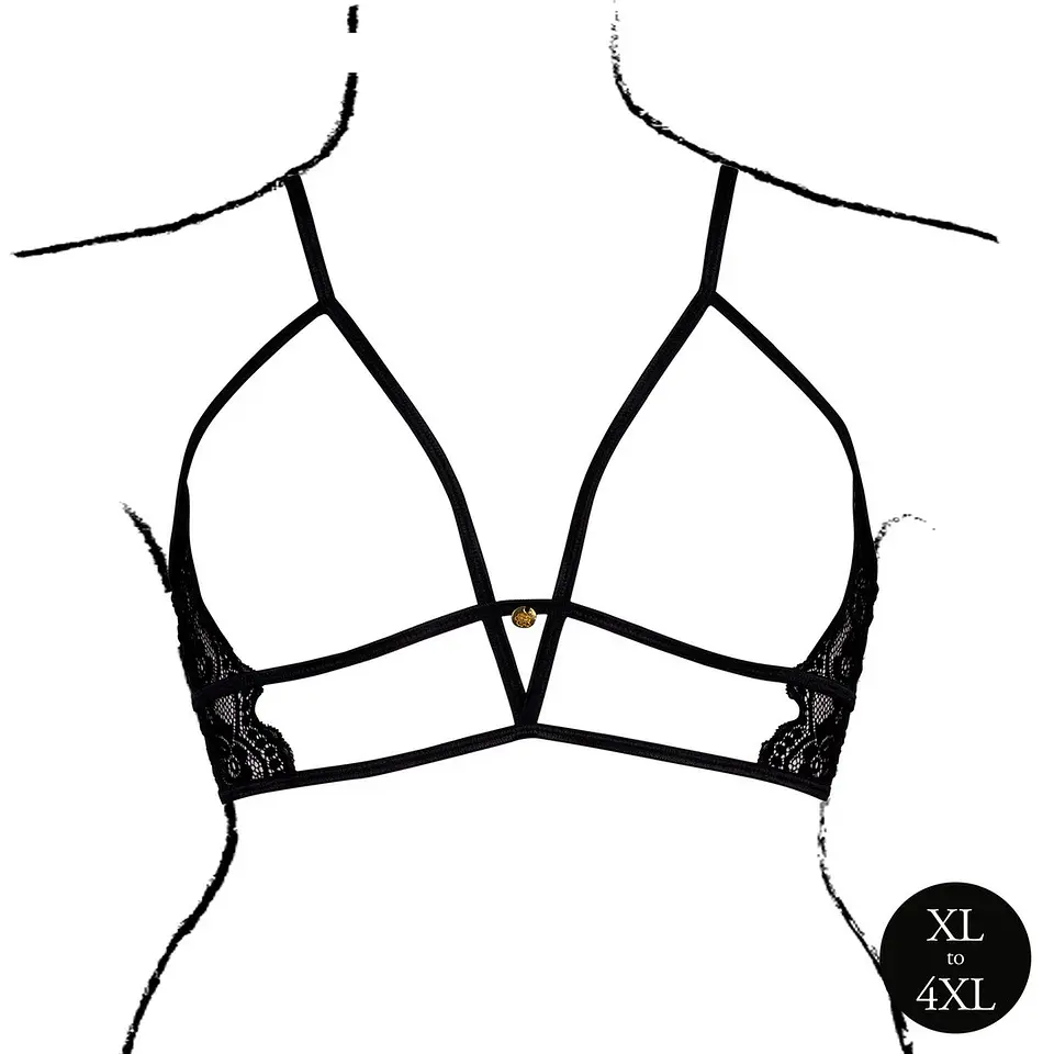 Sutiã Triangle com Renda Preto Tamanho Queen Le Désir 6
