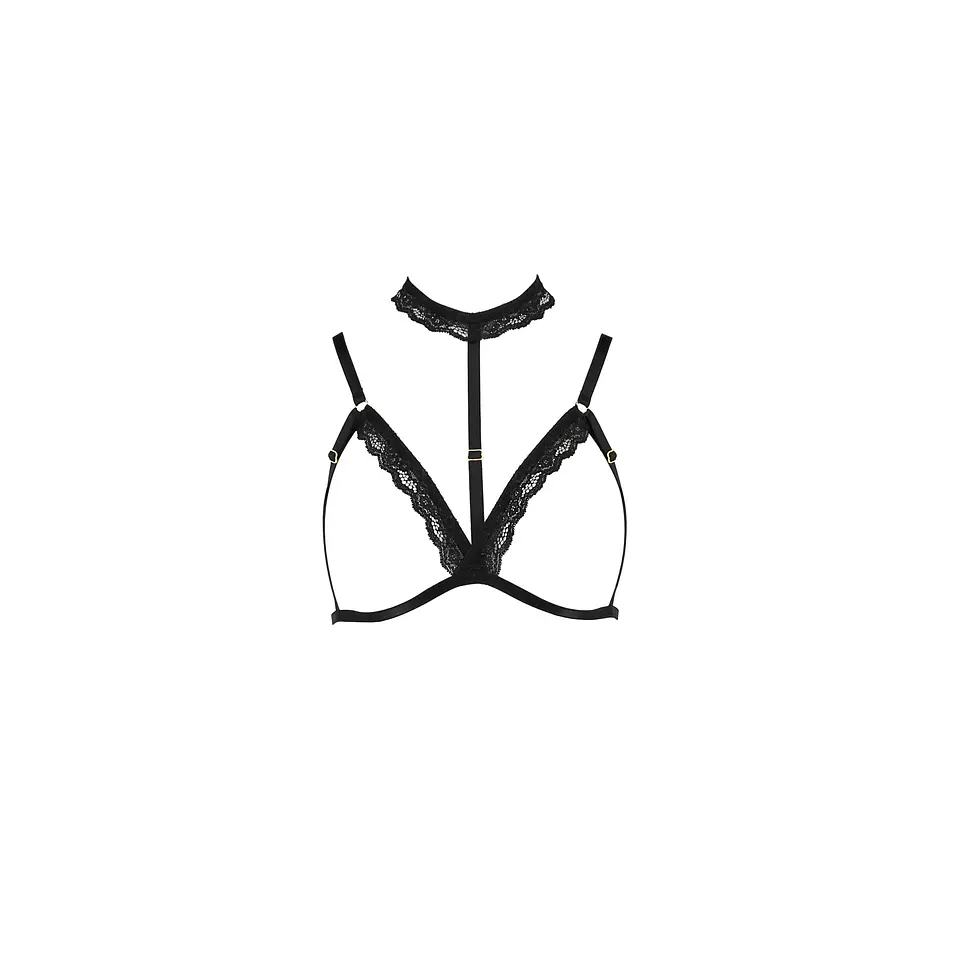 Sutiã Shelly Preto Devil Collection Passion 1