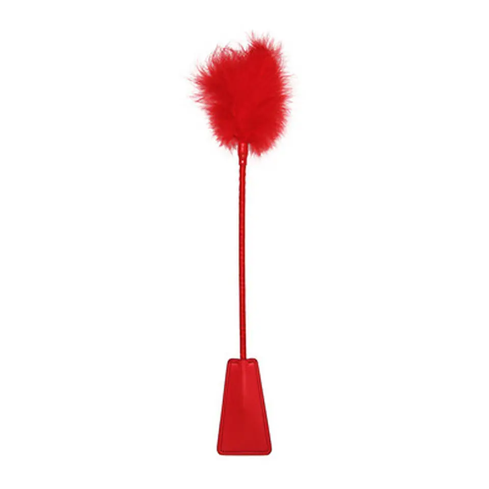 Espanador de Plumas com Chibata Ouch! 2