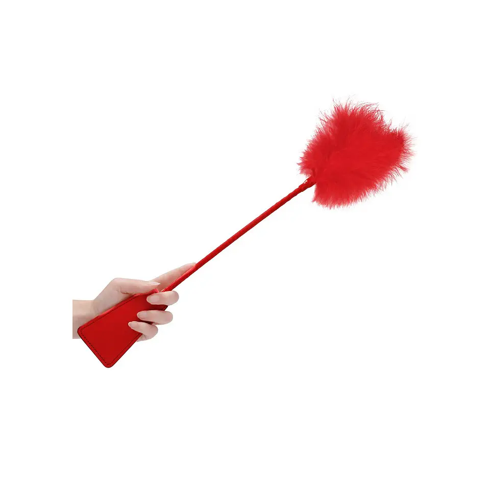 Espanador de Plumas com Chibata Ouch! 6