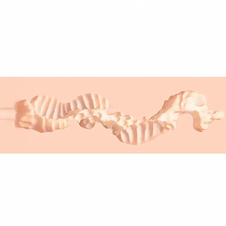 Masturbador Raw Pure Stretch Large 355g Flesh Xkin 6