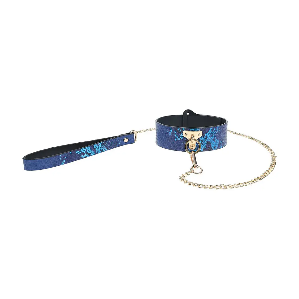 Coleira com Trela Florence Collection Azul Ouch! 1
