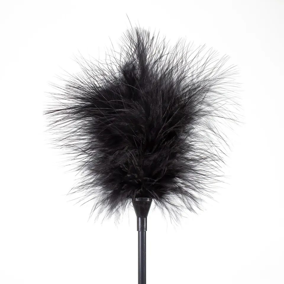 Espanador de Plumas Preto Secret Play 3