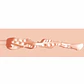 Masturbador Career Girls Tempting Teacher Ms Jenny Jawline TPE Medium 227g Flesh Xkin - Thumbnail 6