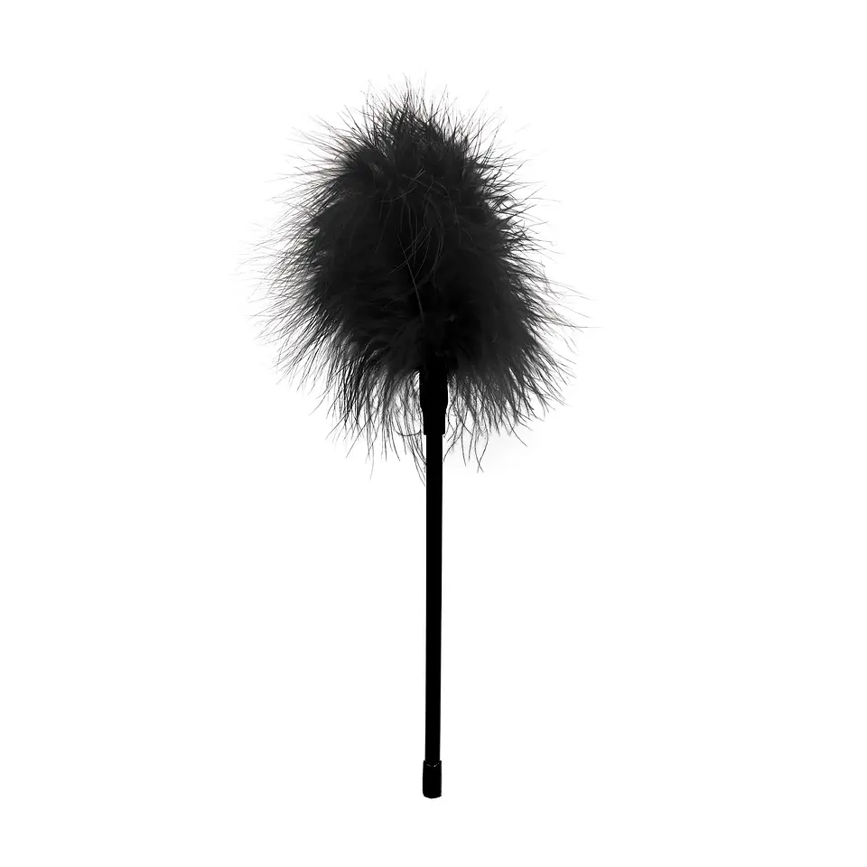 Espanador de Plumas Ouch! 1