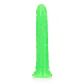 Dildo Slim Realistic Glow In the Dark 8'' /20 CM Realrock - Thumbnail 3