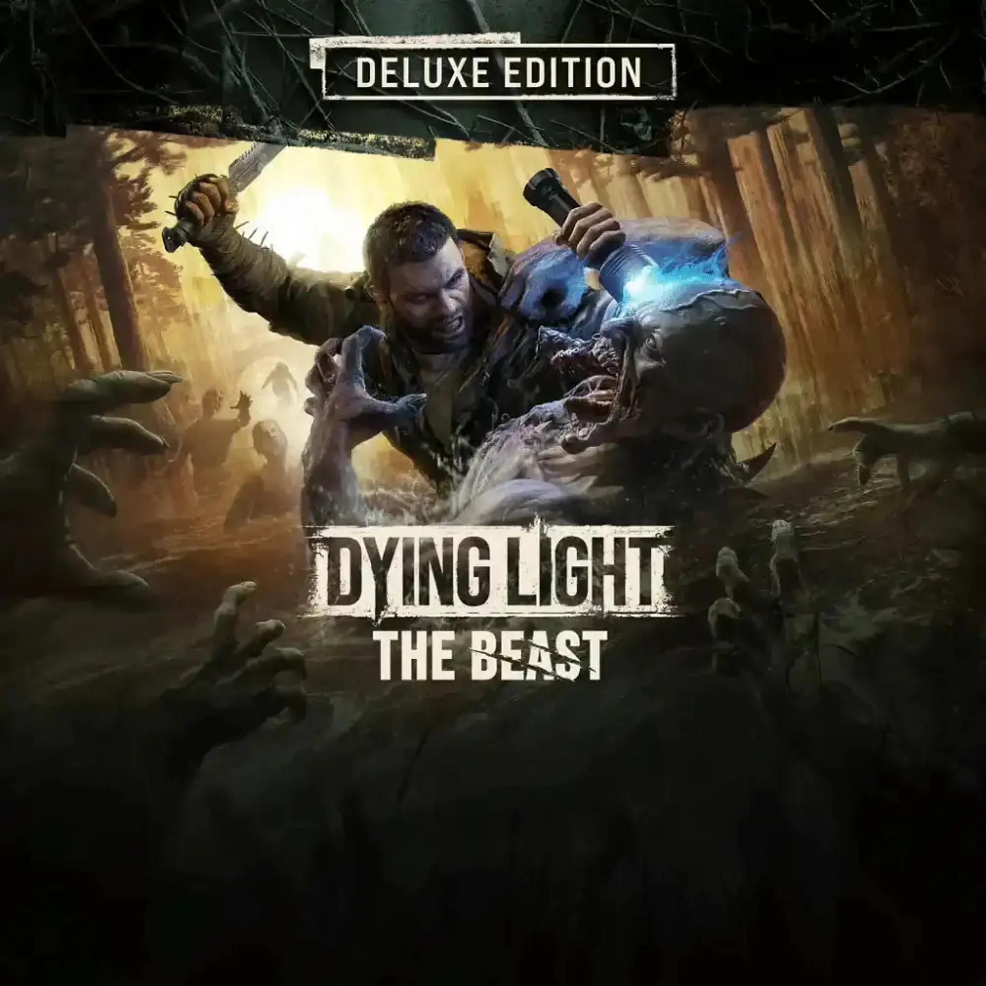 DYNG LIGHT 1